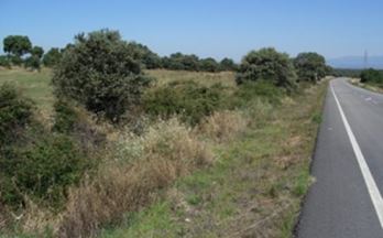 venta finca rustica serrejon carretera