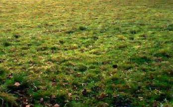 venta terrenos solares siero 