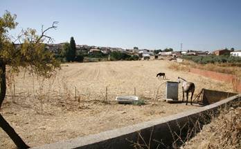 5 terrenos y fincas en venta usagre