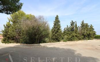 325 terrenos y fincas en venta pollensa