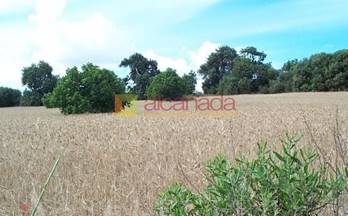 401 terrenos y fincas en venta sa pobla