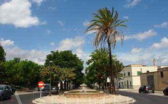 80 terrenos y fincas en venta ariany