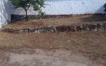 53 casas en venta alconera