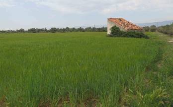 venta finca rustica ulldecona zona poligono