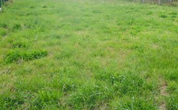 venta terrenos solares siero siero