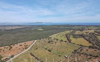 41 terrenos y fincas en venta petra