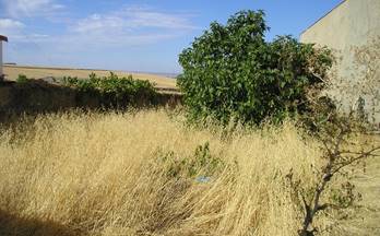 52 terrenos y fincas en venta medina de las torres