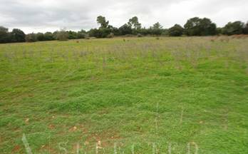 venta terrenos solares porreres 