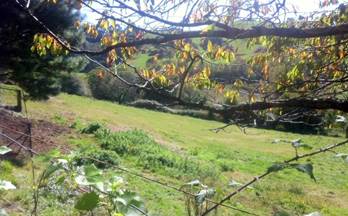 venta terrenos solares siero siero