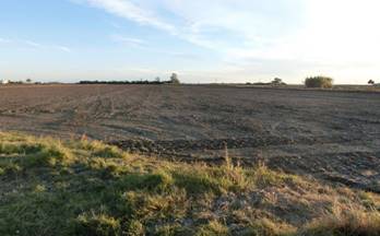 venta finca rustica sant carles de la rapita ctra. poble nou del delt