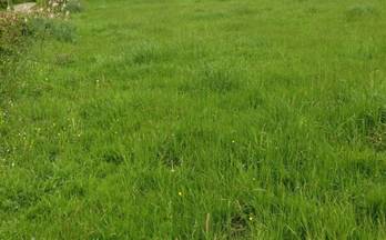 venta terrenos solares siero siero