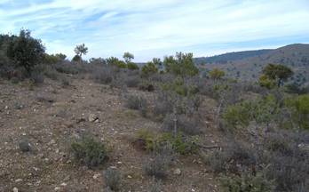 venta terrenos solares navas del rey navas del rey