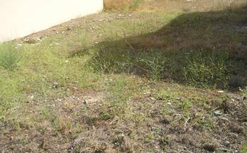 52 terrenos y fincas en venta medina de las torres