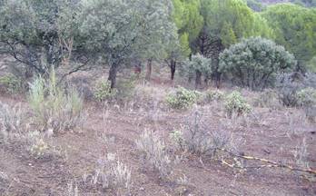 venta terrenos solares navas del rey navas del rey