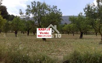 venta terrenos solares ibi foyetes