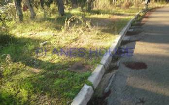 venta terrenos solares maçanet de la selva a 1 km de centro pueblo