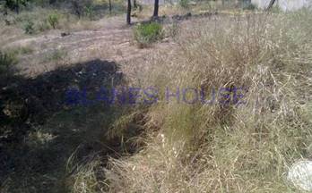 venta terrenos solares maçanet de la selva urb 1 - maçanet (costa brava)