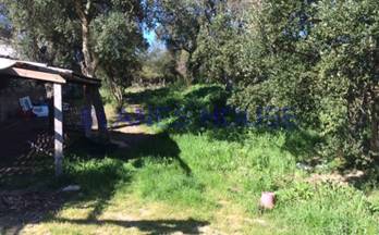 59 terrenos y fincas en venta lloret de mar