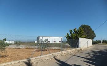 venta finca rustica amposta cervantes