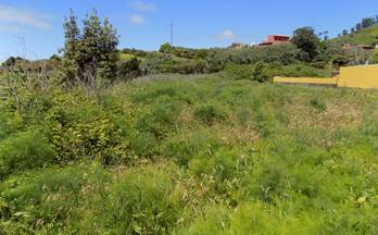 98 terrenos y fincas en venta sta. cruz de tenerife provincia