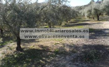 venta finca rustica baena 