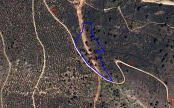 197 terrenos y fincas en venta madrid provincia