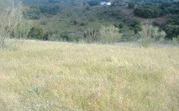 venta terrenos solares navas del rey navas del rey