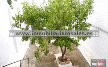 casas en venta luque