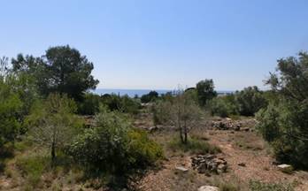 venta finca rustica alcanar alcanar playa