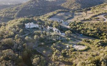 55 casas en venta mahon