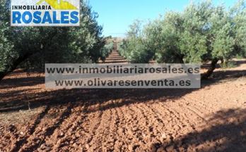 venta finca rustica albendin entre albendin y noguerones