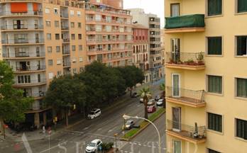 81 pisos en venta calvia