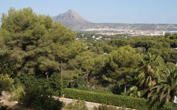 174 terrenos y fincas en venta beniarbeig
