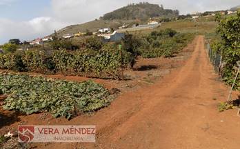 venta finca rustica tacoronte la caridad