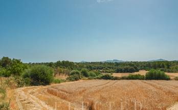 venta terrenos solares can picafort santa margalida