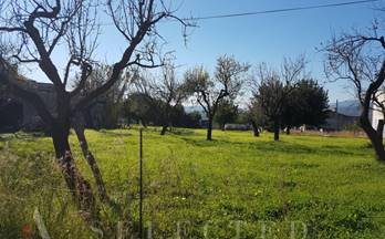 401 terrenos y fincas en venta sa pobla