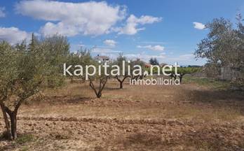 119 terrenos y fincas en venta l´ olleria