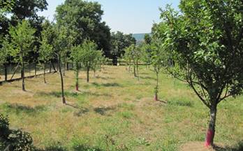 33 terrenos y fincas en venta cantabria provincia