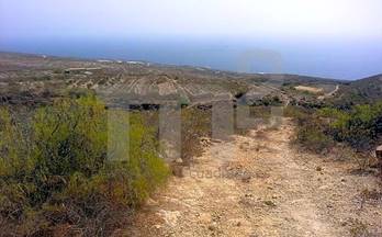 5 terrenos y fincas en venta fasnia