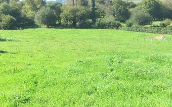 60 terrenos y fincas en venta lugones