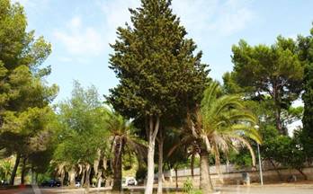 venta terrenos solares alcudia ciutat d'alcudia