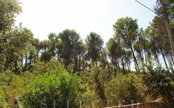 venta terrenos solares alcudia ciutat d'alcudia