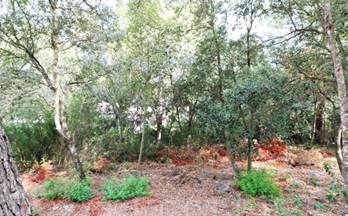 venta terrenos solares alcudia ciutat d'alcudia