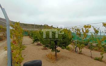 venta terrenos solares granadilla de abona calle el pinar