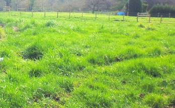 venta terrenos solares siero siero