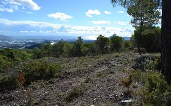 70 terrenos y fincas en venta guadalest