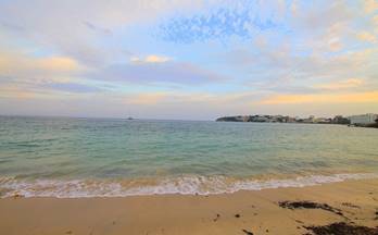 venta local calvia magaluf