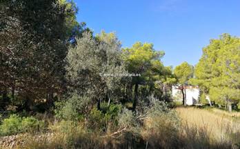 209 terrenos y fincas en venta ondara