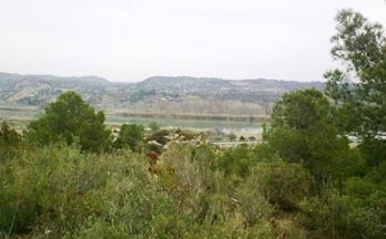1 terrenos y fincas en venta riba roja d´ebre
