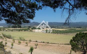 430 terrenos y fincas en venta alicante provincia